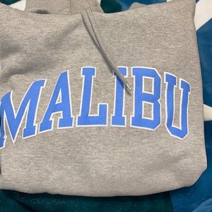 John Galt by Brandy Melville hoodie